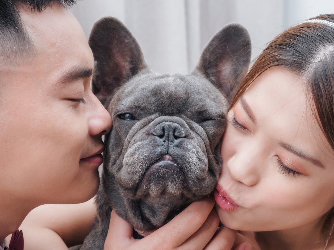 Happy pets and owners
