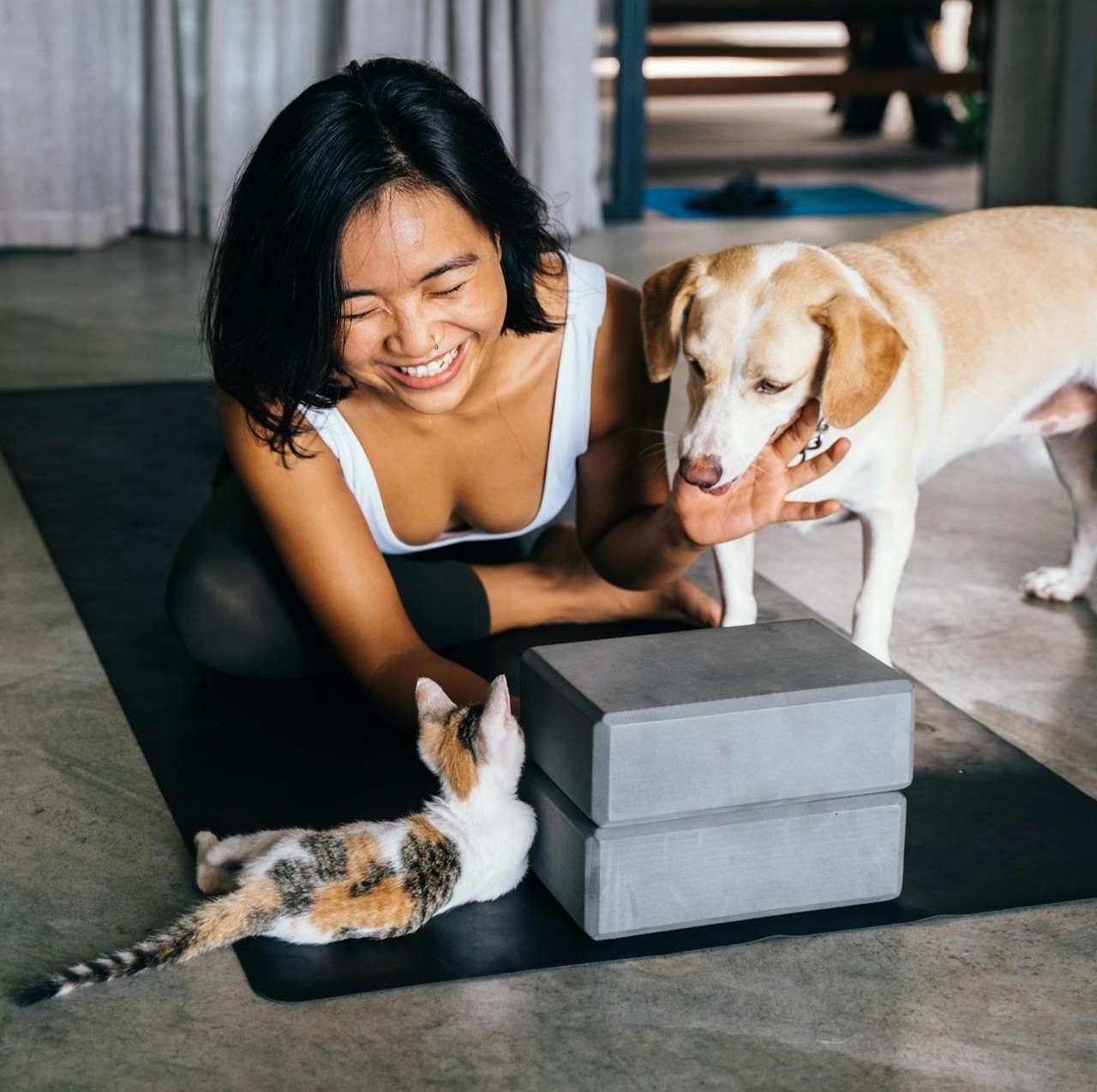 Pet care tools