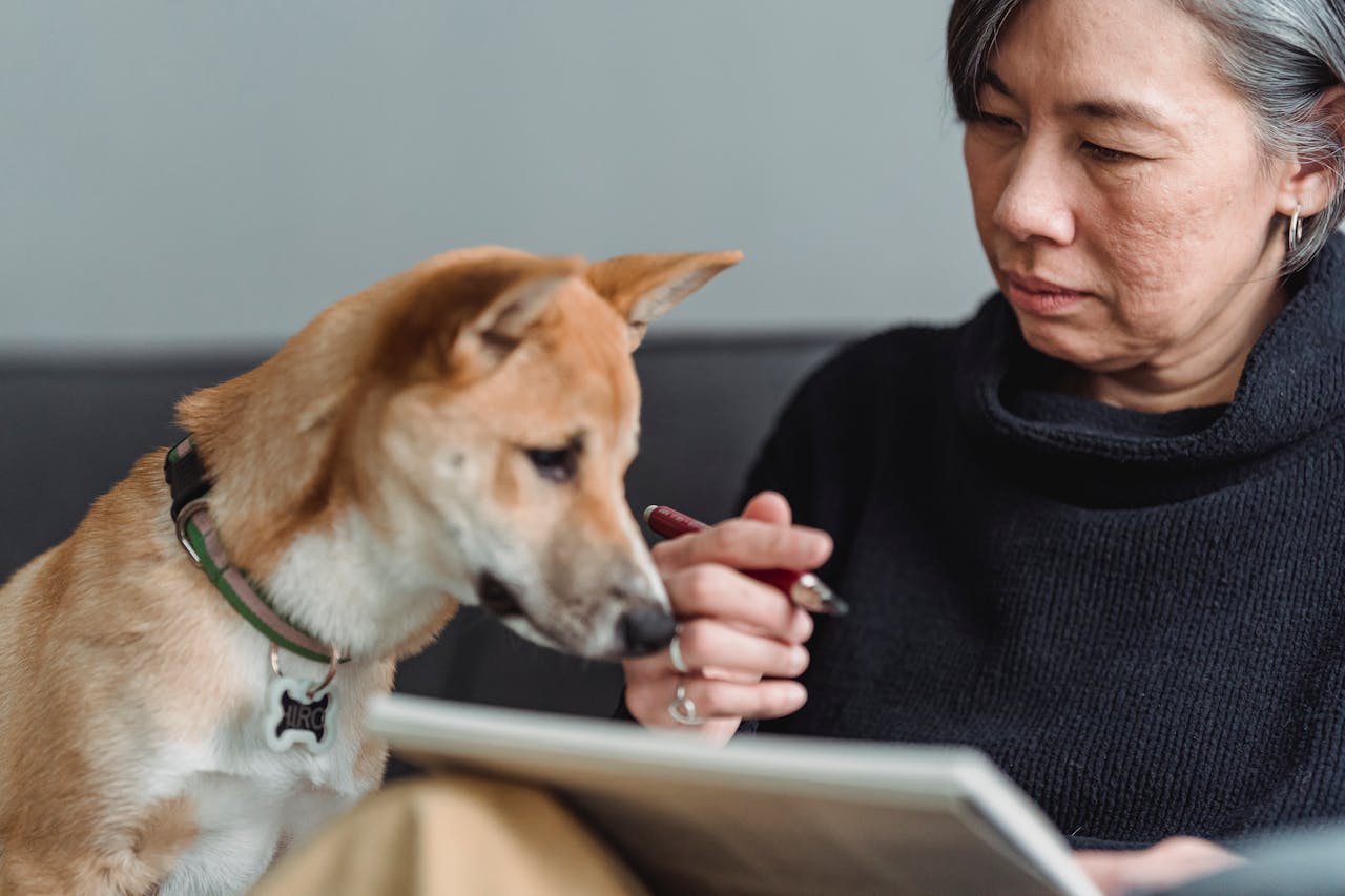 Pet insurance comparison